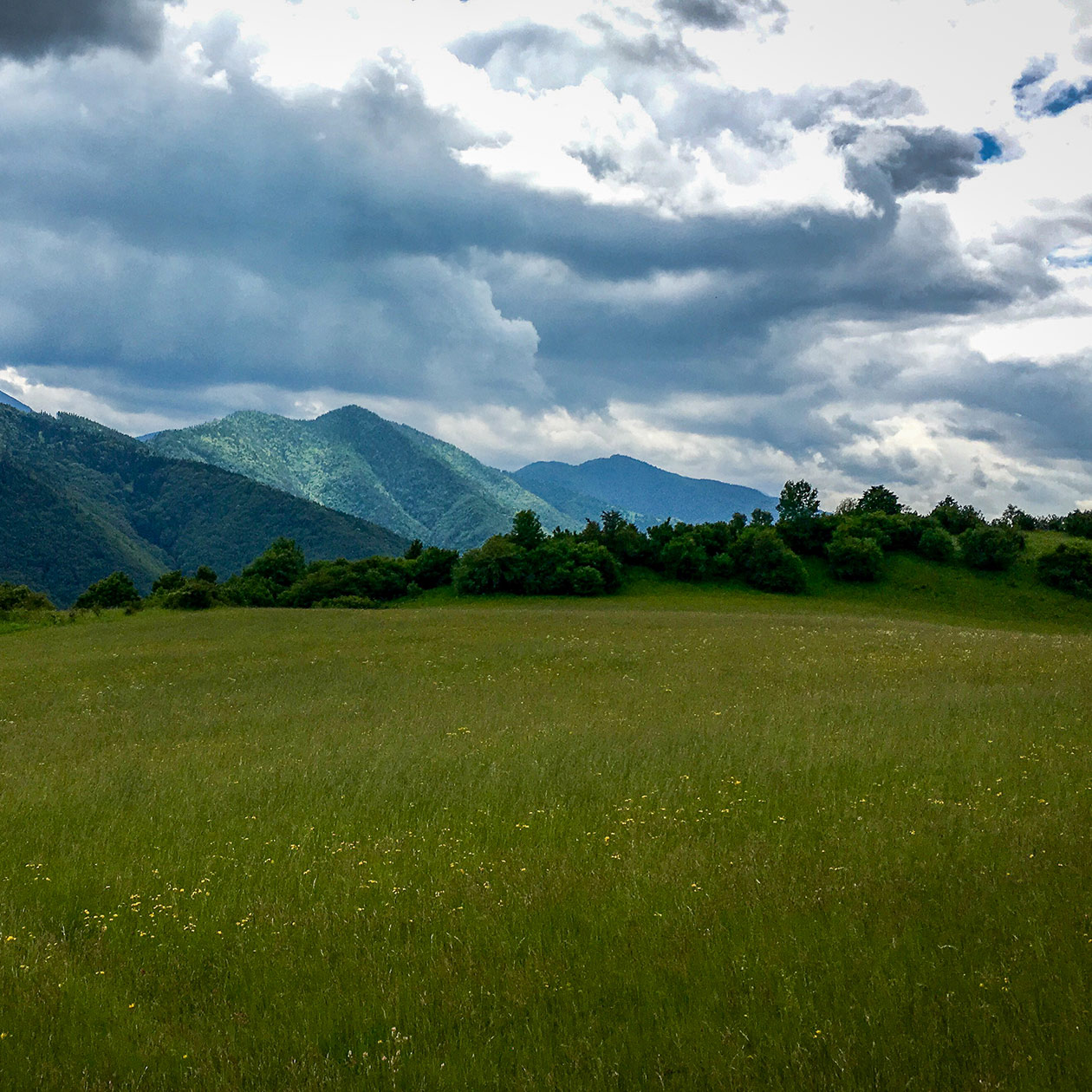 Výhľady z Bukoviny
