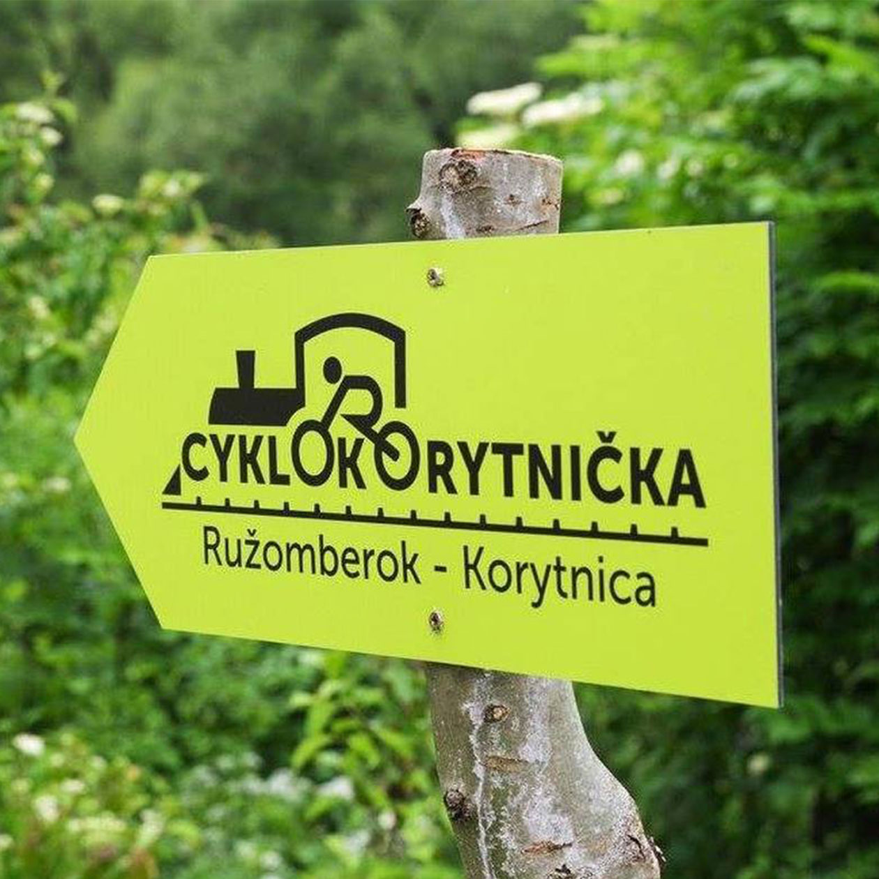 On the Track of Old Railway "Korytko"