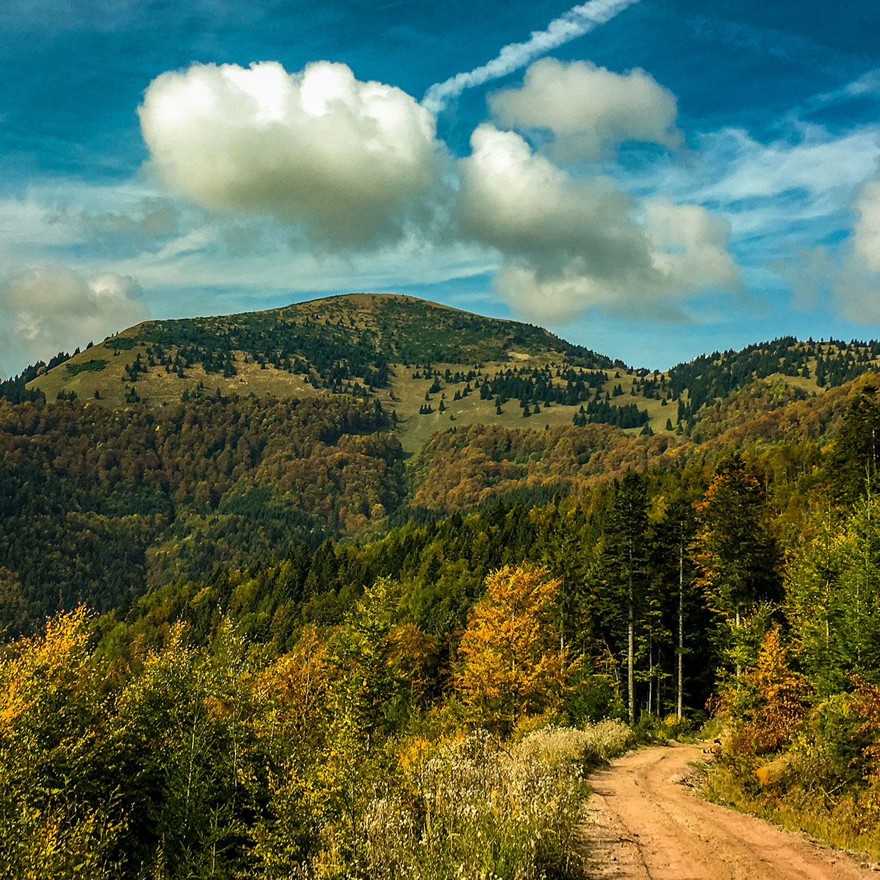 Forest Roads Under Rakytov Hill