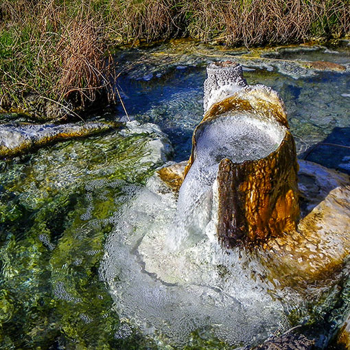Healing Mineral Springs in Stankovany